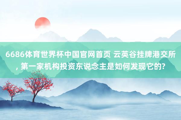 6686体育世界杯中国官网首页 云英谷挂牌港交所, 第一家机构投资东说念主是如何发现它的?