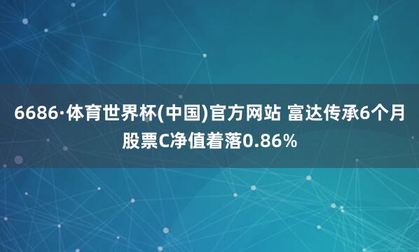6686·体育世界杯(中国)官方网站 富达传承6个月股票C净值着落0.86%
