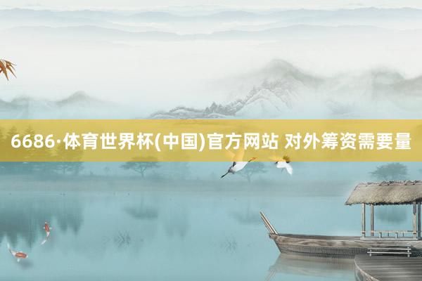 6686·体育世界杯(中国)官方网站 对外筹资需要量