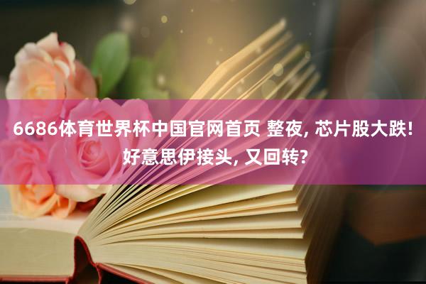 6686体育世界杯中国官网首页 整夜, 芯片股大跌! 好意思伊接头, 又回转?
