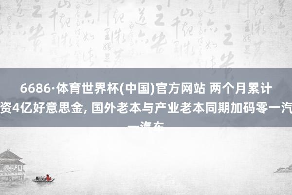 6686·体育世界杯(中国)官方网站 两个月累计融资4亿好意思金, 国外老本与产业老本同期加码零一汽车
