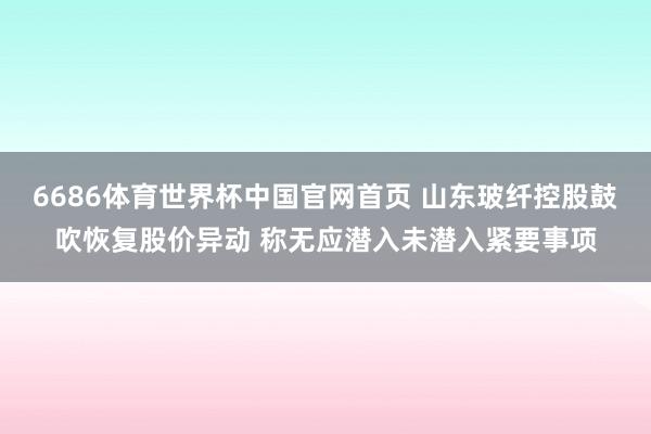 6686体育世界杯中国官网首页 山东玻纤控股鼓吹恢复股价异动 称无应潜入未潜入紧要事项