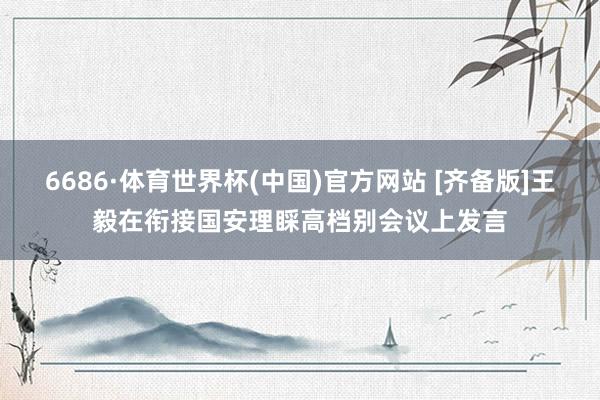 6686·体育世界杯(中国)官方网站 [齐备版]王毅在衔接国安理睬高档别会议上发言