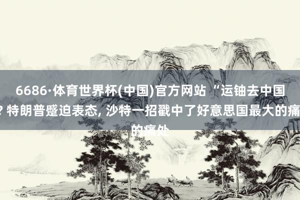 6686·体育世界杯(中国)官方网站 “运铀去中国”? 特朗普蹙迫表态, 沙特一招戳中了好意思国最大的痛处