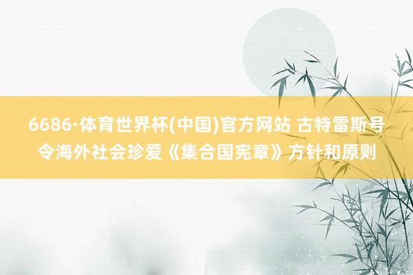 6686·体育世界杯(中国)官方网站 古特雷斯号令海外社会珍爱《集合国宪章》方针和原则