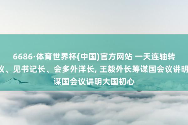 6686·体育世界杯(中国)官方网站 一天连轴转: 主捏会议、见书记长、会多外洋长, 王毅外长筹谋国会议讲明大国初心