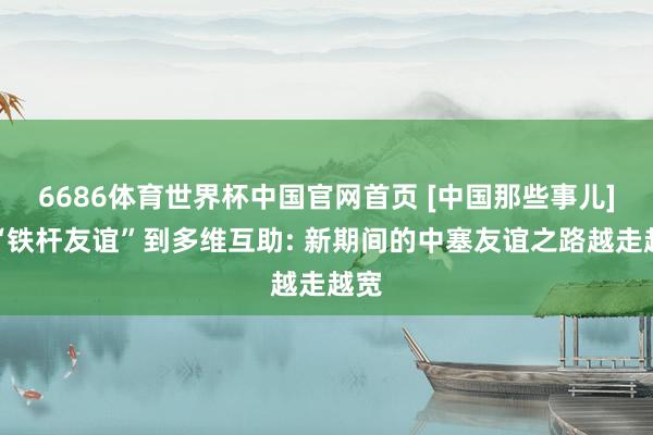 6686体育世界杯中国官网首页 [中国那些事儿]从“铁杆友谊”到多维互助: 新期间的中塞友谊之路越走越宽