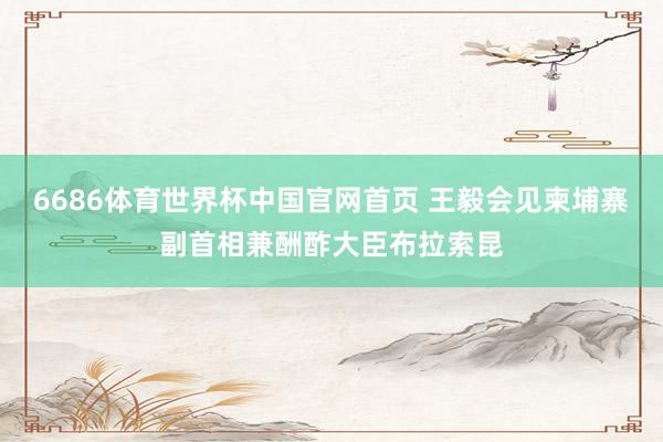 6686体育世界杯中国官网首页 王毅会见柬埔寨副首相兼酬酢大臣布拉索昆