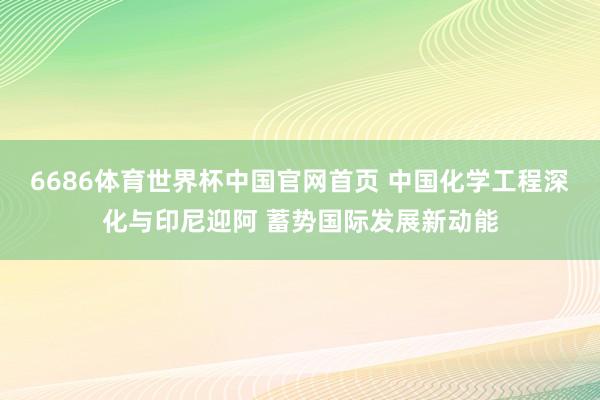 6686体育世界杯中国官网首页 中国化学工程深化与印尼迎阿 蓄势国际发展新动能