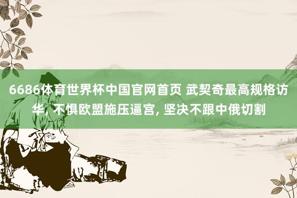 6686体育世界杯中国官网首页 武契奇最高规格访华, 不惧欧盟施压逼宫, 坚决不跟中俄切割