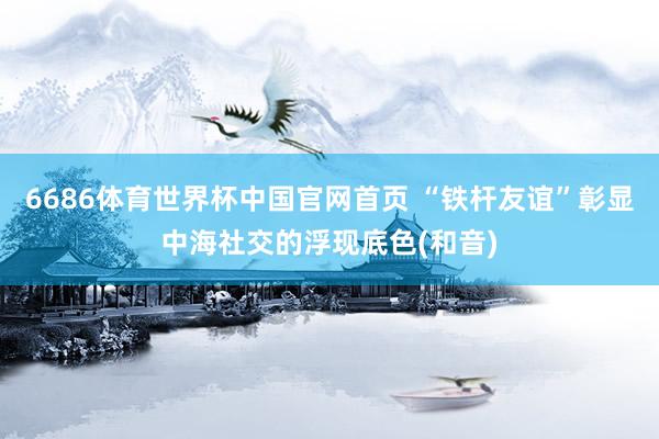 6686体育世界杯中国官网首页 “铁杆友谊”彰显中海社交的浮现底色(和音)