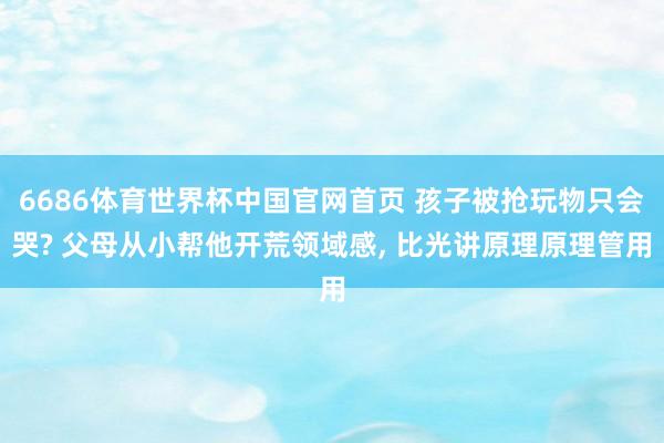 6686体育世界杯中国官网首页 孩子被抢玩物只会哭? 父母从小帮他开荒领域感, 比光讲原理原理管用