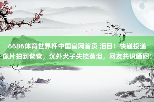 6686体育世界杯中国官网首页 泪目！快递投递像片拍到爸爸，沉外犬子失控落泪，网友共识晒图！