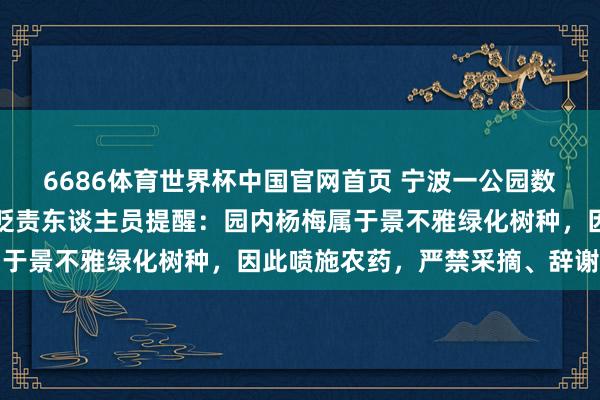 6686体育世界杯中国官网首页 宁波一公园数十棵杨梅树结满果实，贬责东谈主员提醒：园内杨梅属于景不雅绿化树种，因此喷施农药，严禁采摘、辞谢食用