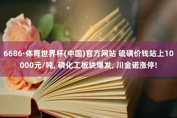 6686·体育世界杯(中国)官方网站 硫磺价钱站上10000元/吨， 磷化工板块爆发， 川金诺涨停!
