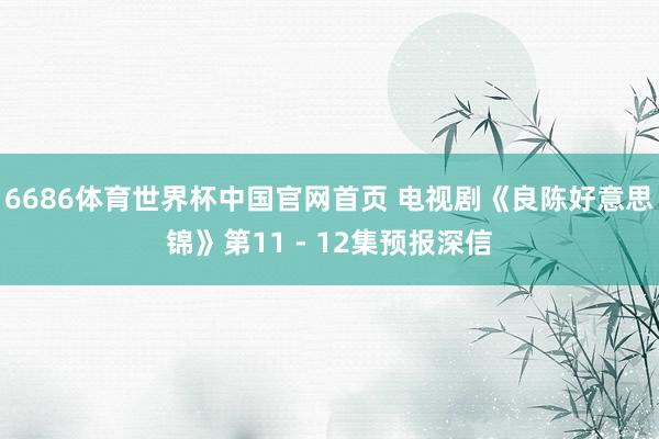 6686体育世界杯中国官网首页 电视剧《良陈好意思锦》第11 - 12集预报深信
