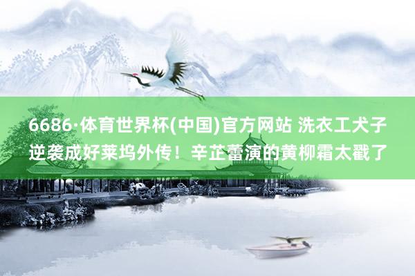 6686·体育世界杯(中国)官方网站 洗衣工犬子逆袭成好莱坞外传！辛芷蕾演的黄柳霜太戳了