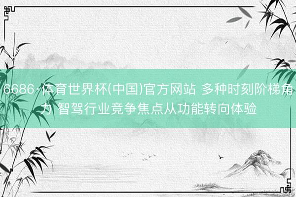 6686·体育世界杯(中国)官方网站 多种时刻阶梯角力 智驾行业竞争焦点从功能转向体验