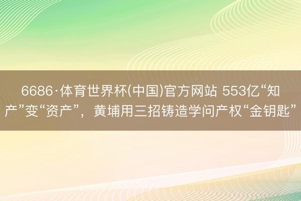 6686·体育世界杯(中国)官方网站 553亿“知产”变“资产”，黄埔用三招铸造学问产权“金钥匙”