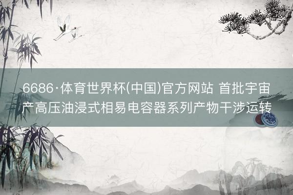 6686·体育世界杯(中国)官方网站 首批宇宙产高压油浸式相易电容器系列产物干涉运转