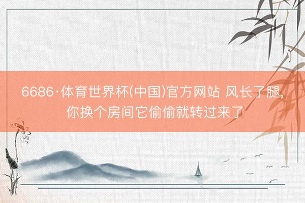 6686·体育世界杯(中国)官方网站 风长了腿， 你换个房间它偷偷就转过来了
